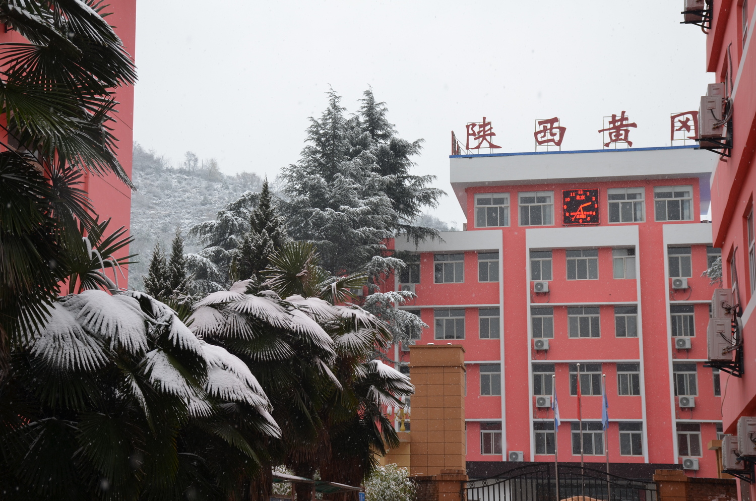 DSC_2460.JPG